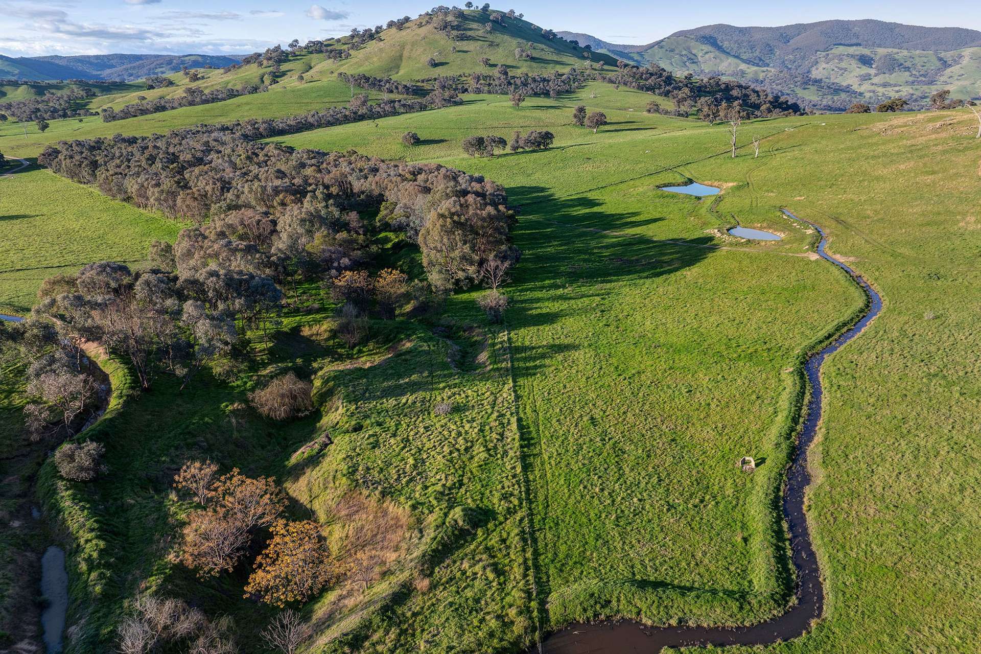 1268 Wymah Road, Bowna For Sale by Farmbuy.com - image 22