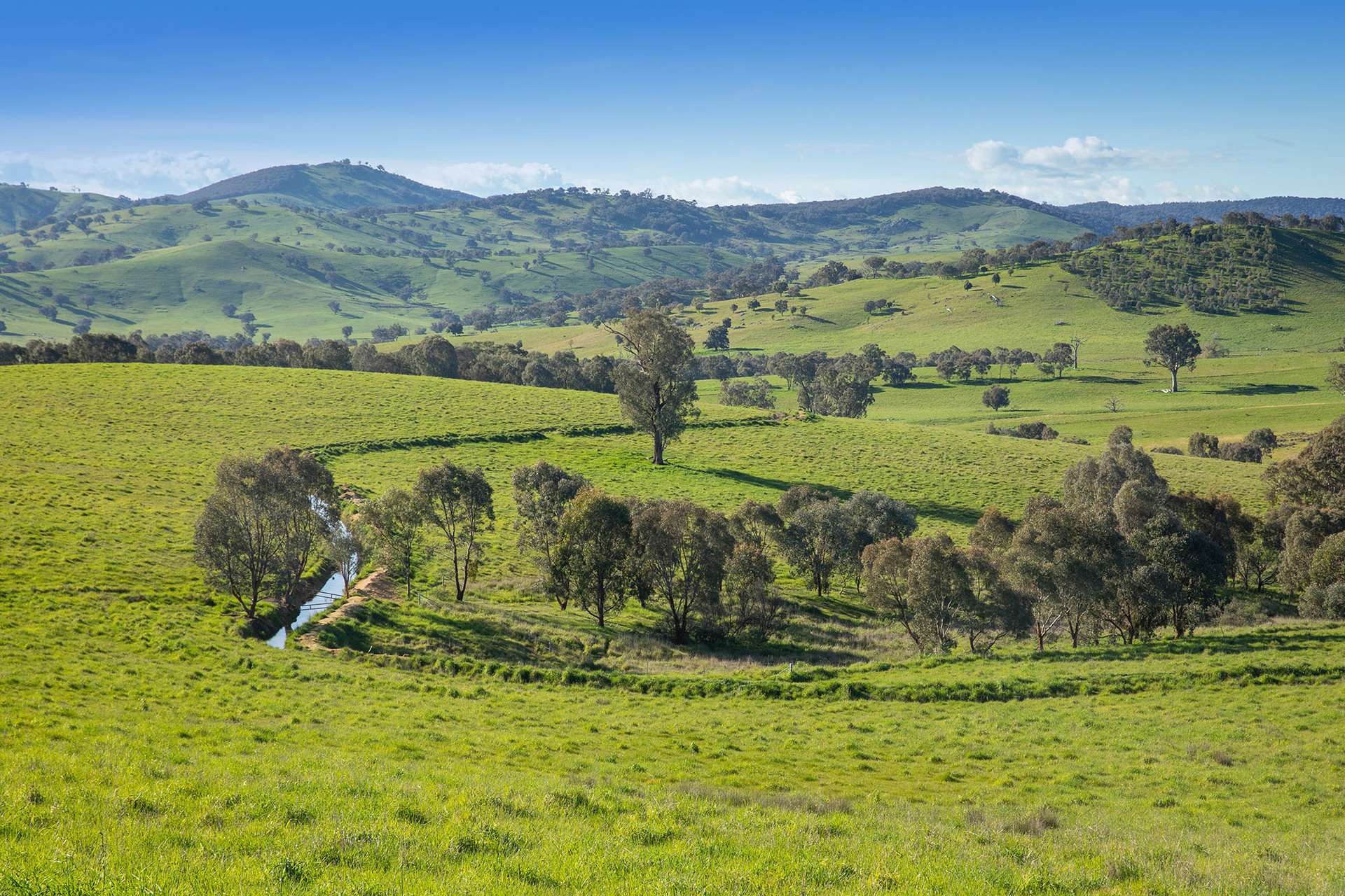 1268 Wymah Road, Bowna For Sale by Farmbuy.com - image 25