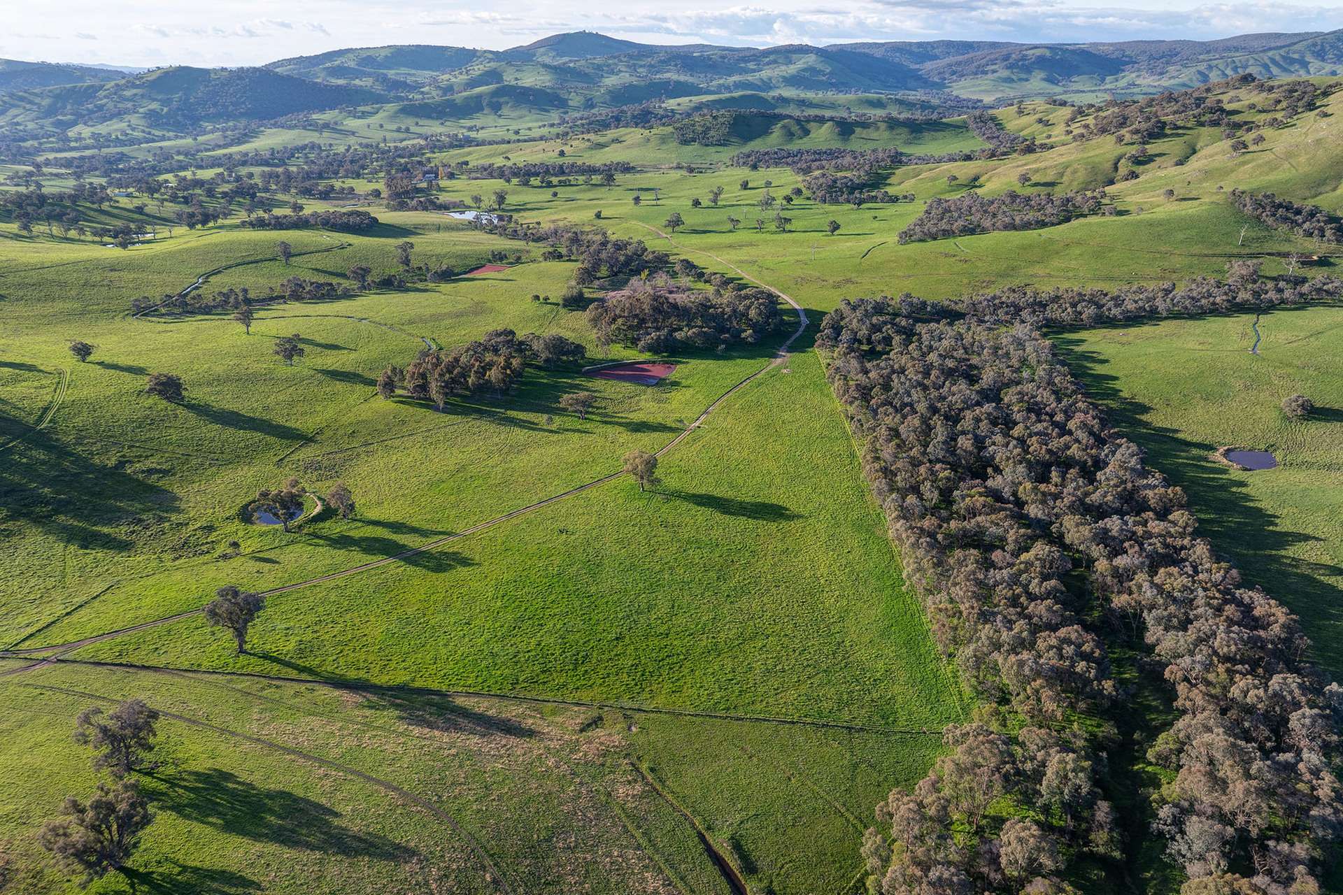 1268 Wymah Road, Bowna For Sale by Farmbuy.com - image 6