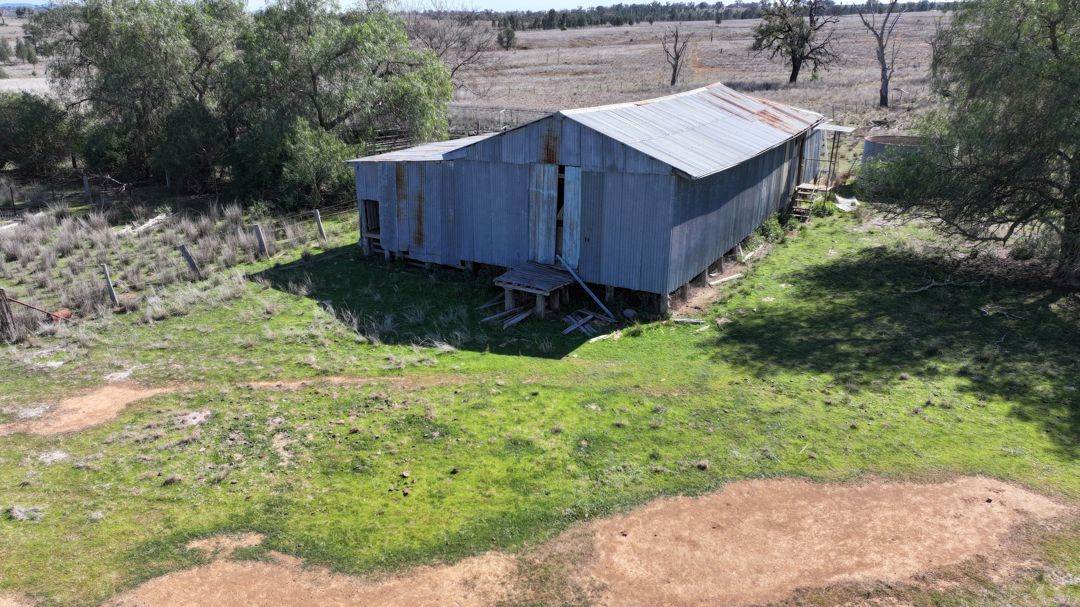 Renovo, Bingara For Sale by Farmbuy.com - image 23