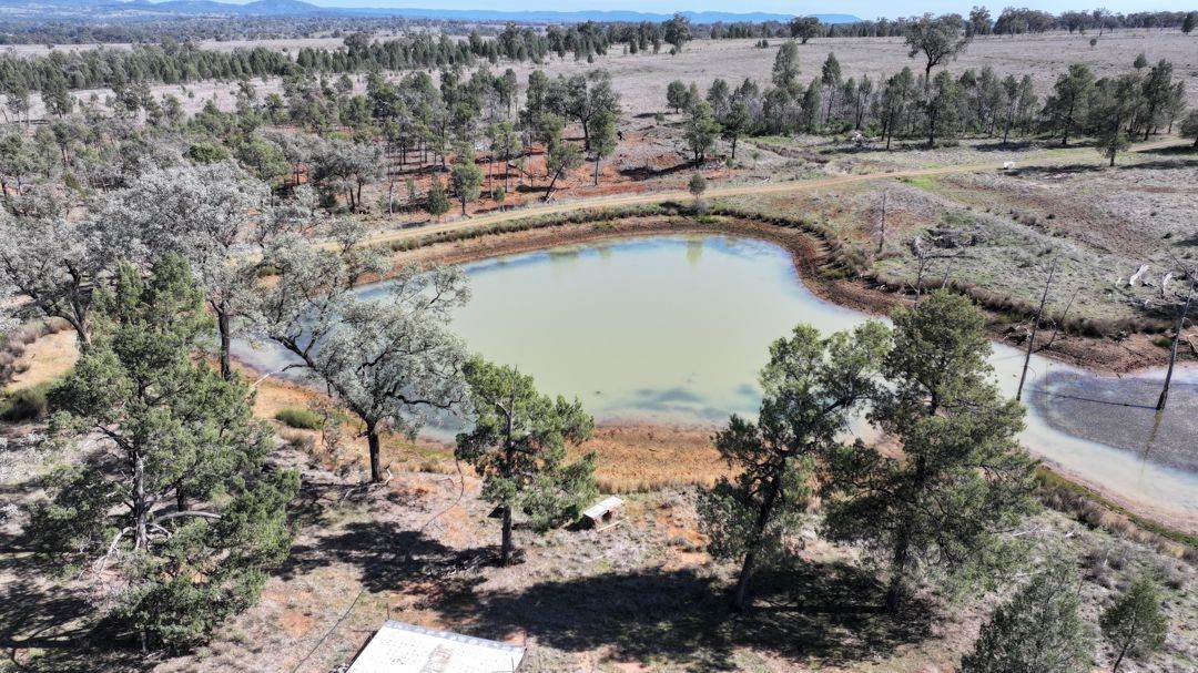 Renovo, Bingara For Sale by Farmbuy.com - image 20