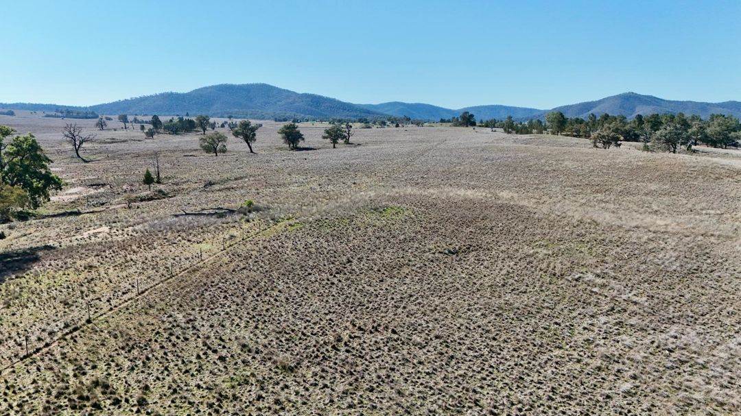 Renovo, Bingara For Sale by Farmbuy.com - image 27