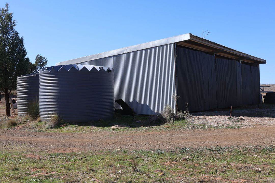 Renovo, Bingara For Sale by Farmbuy.com - image 29