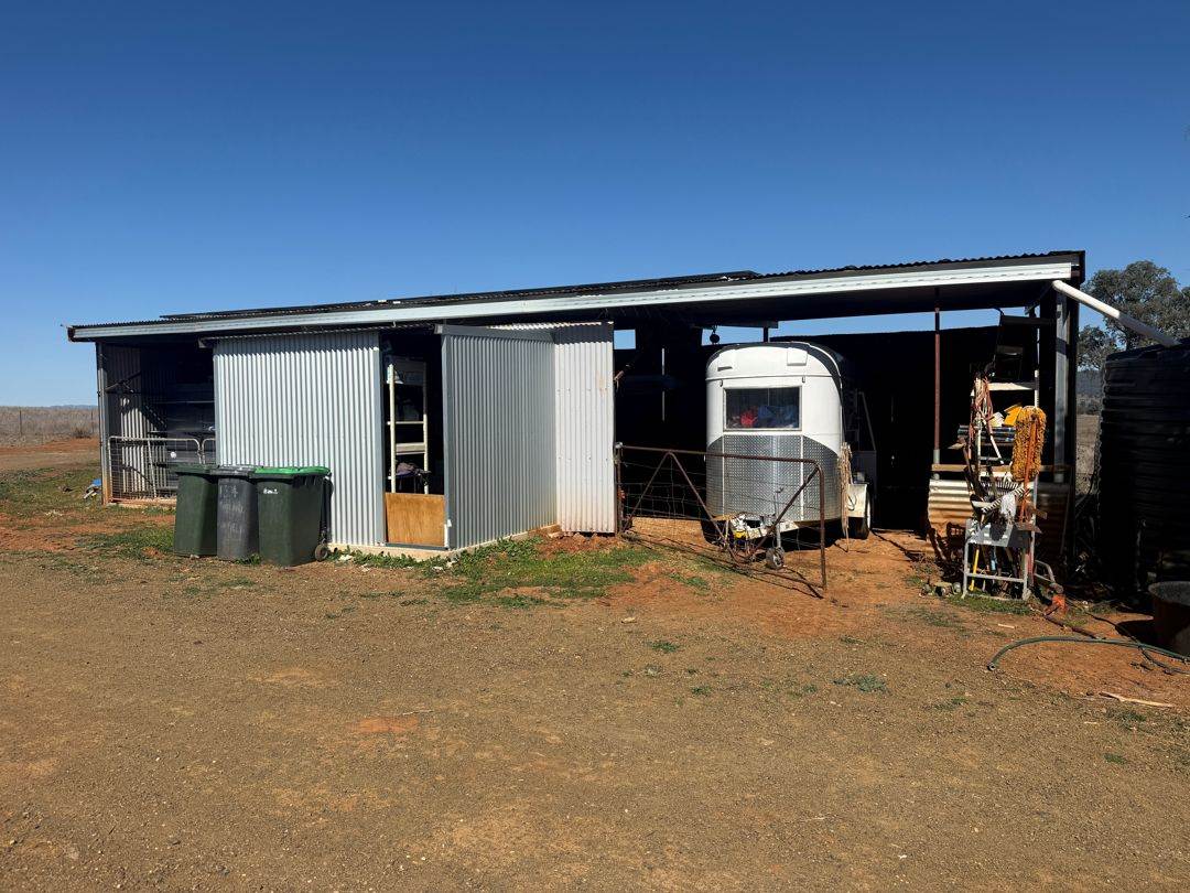 Renovo, Bingara For Sale by Farmbuy.com - image 26