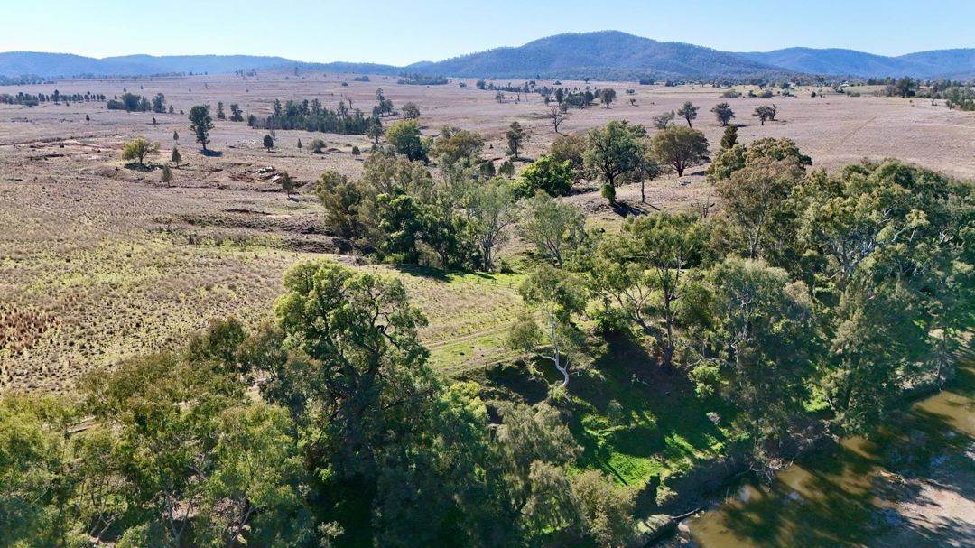 Renovo, Bingara For Sale by Farmbuy.com - image 16