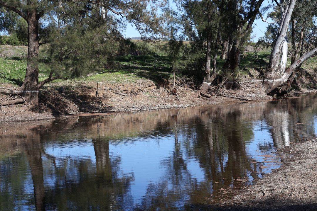 Renovo, Bingara For Sale by Farmbuy.com - image 12