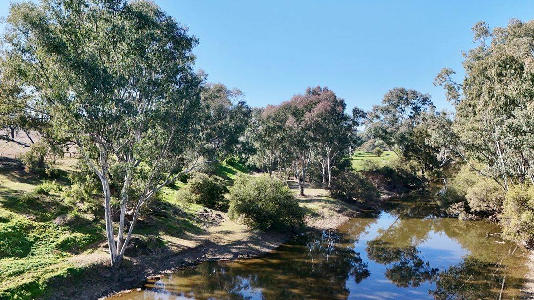 Renovo, Bingara For Sale by Farmbuy.com - image 15