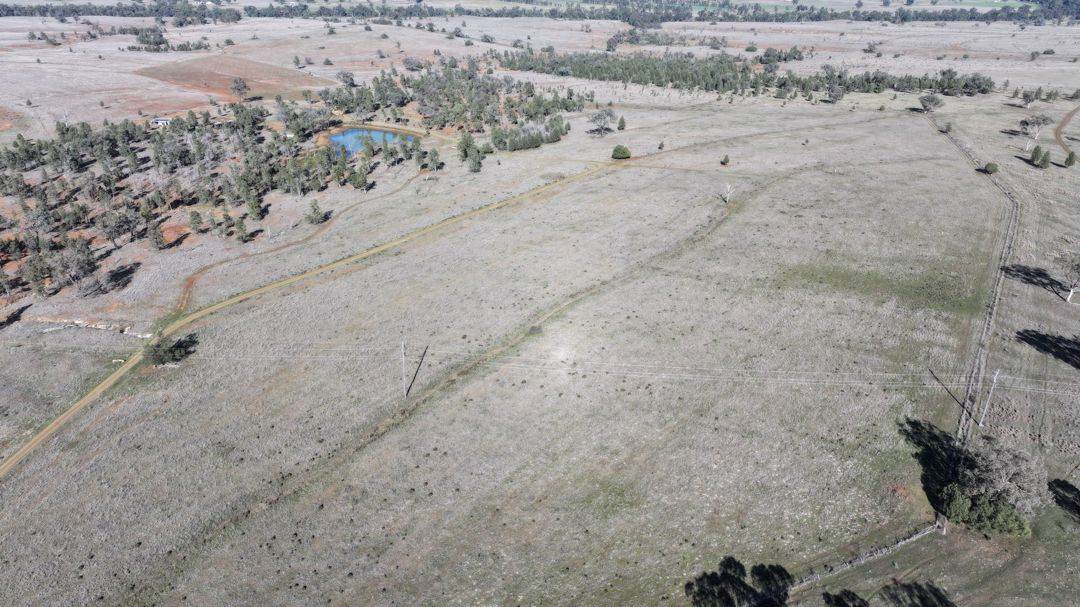 Renovo, Bingara For Sale by Farmbuy.com - image 21