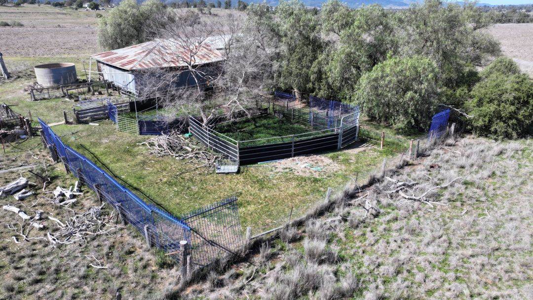 Renovo, Bingara For Sale by Farmbuy.com - image 22