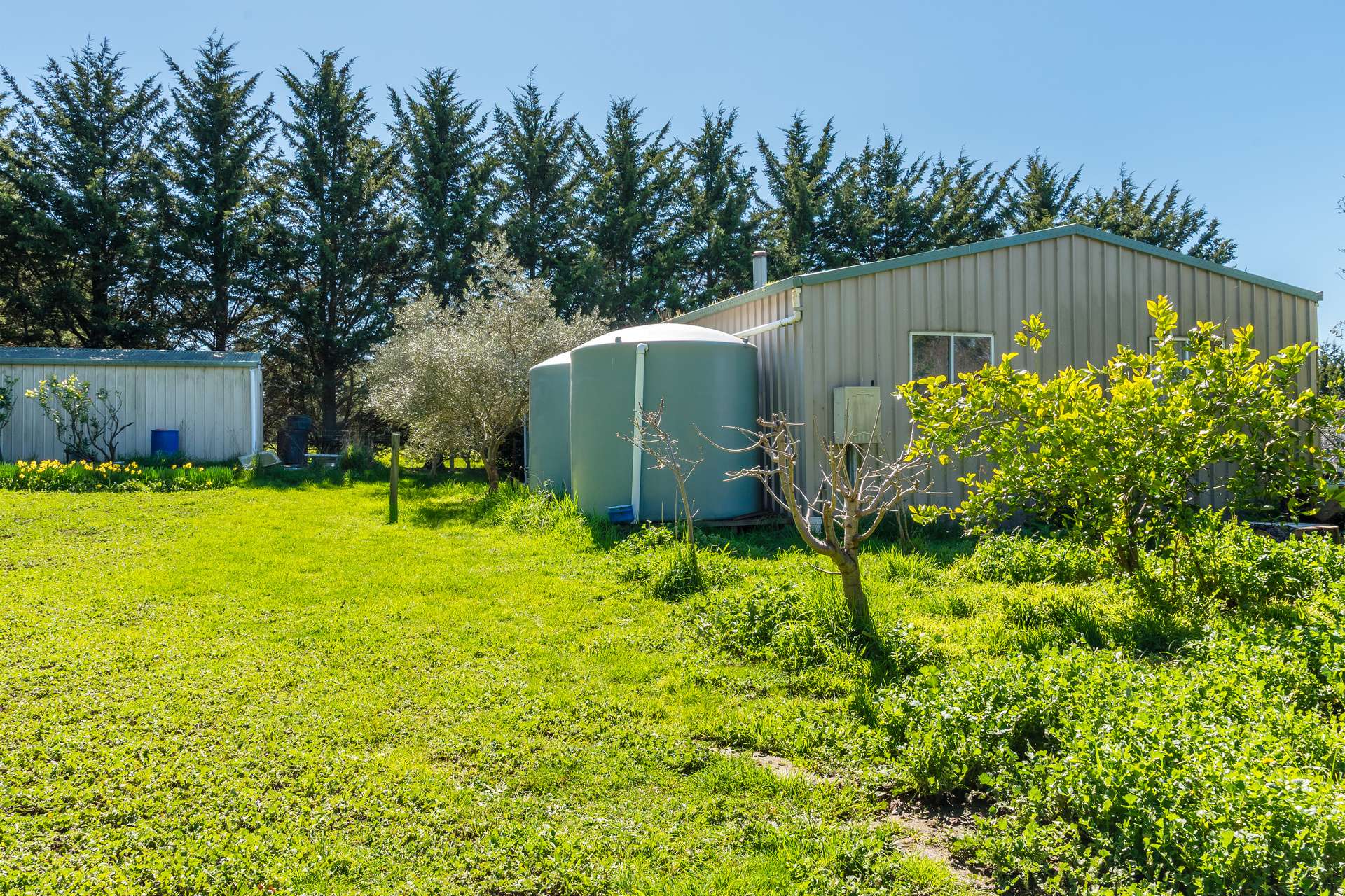 79 Tarrawarra Lane, Romsey For Sale by Farmbuy.com - image 5