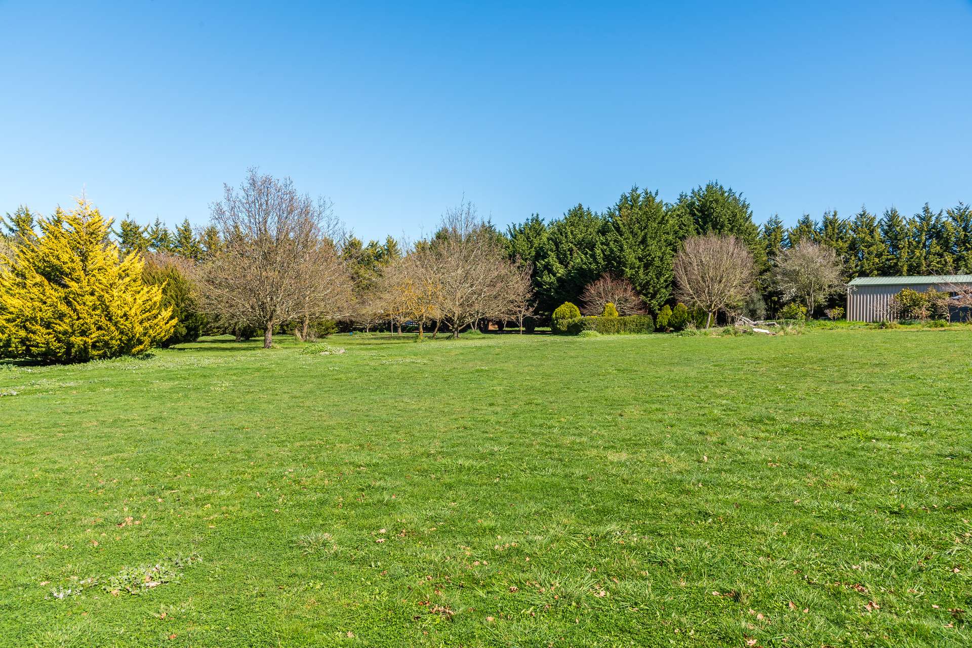 79 Tarrawarra Lane, Romsey For Sale by Farmbuy.com - image 3