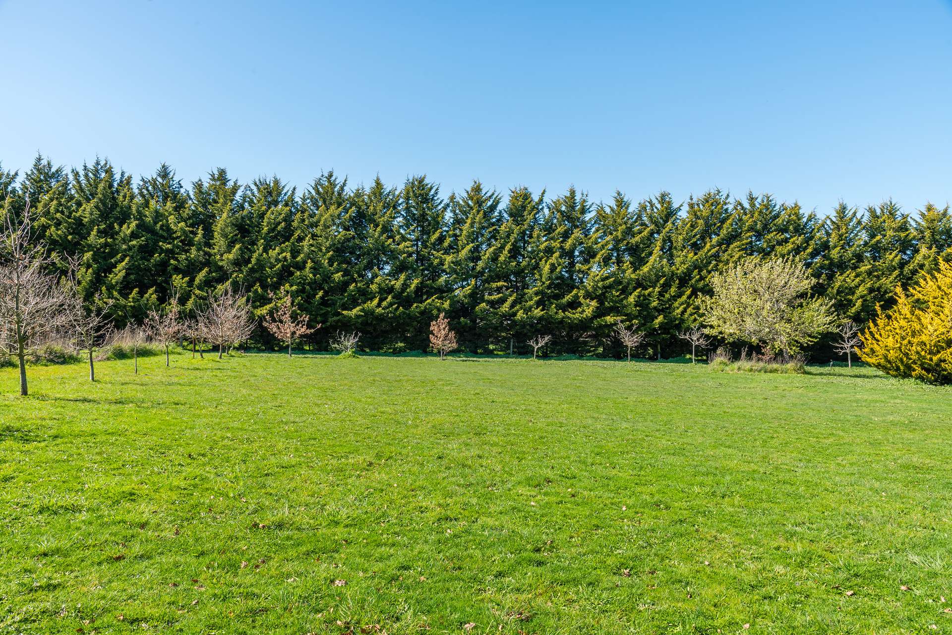 79 Tarrawarra Lane, Romsey For Sale by Farmbuy.com - image 7