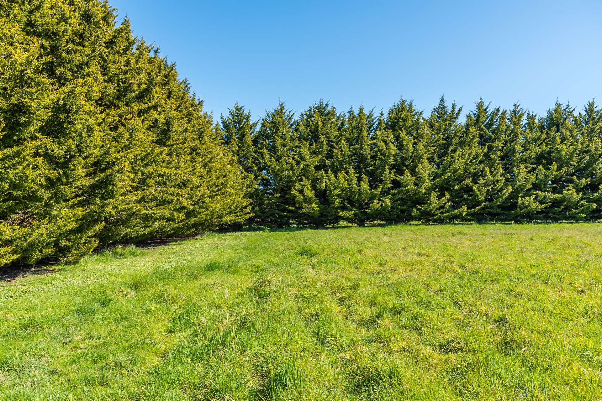 79 Tarrawarra Lane, Romsey For Sale by Farmbuy.com - image 4