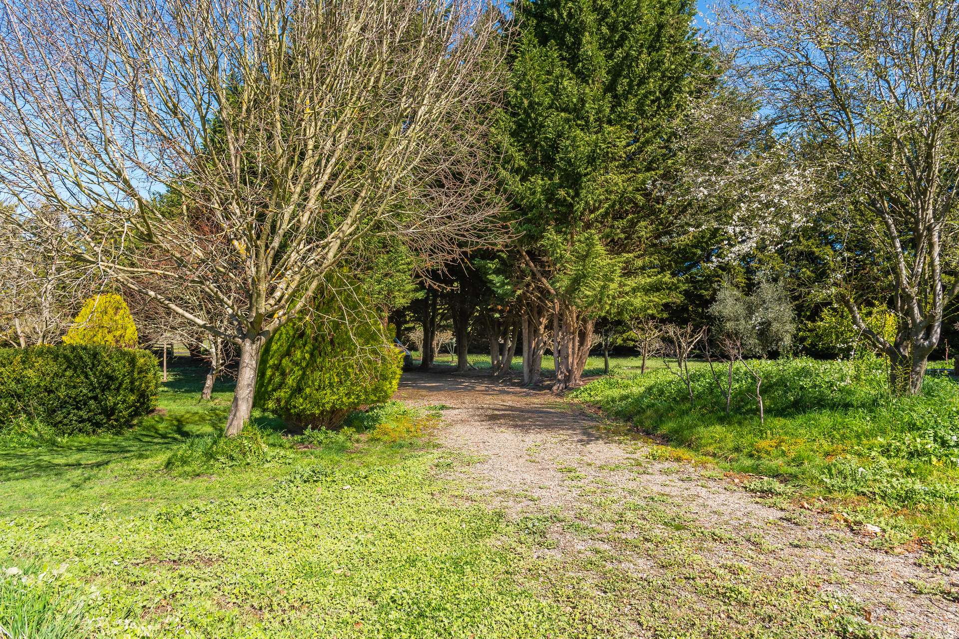 79 Tarrawarra Lane, Romsey For Sale by Farmbuy.com - image 10