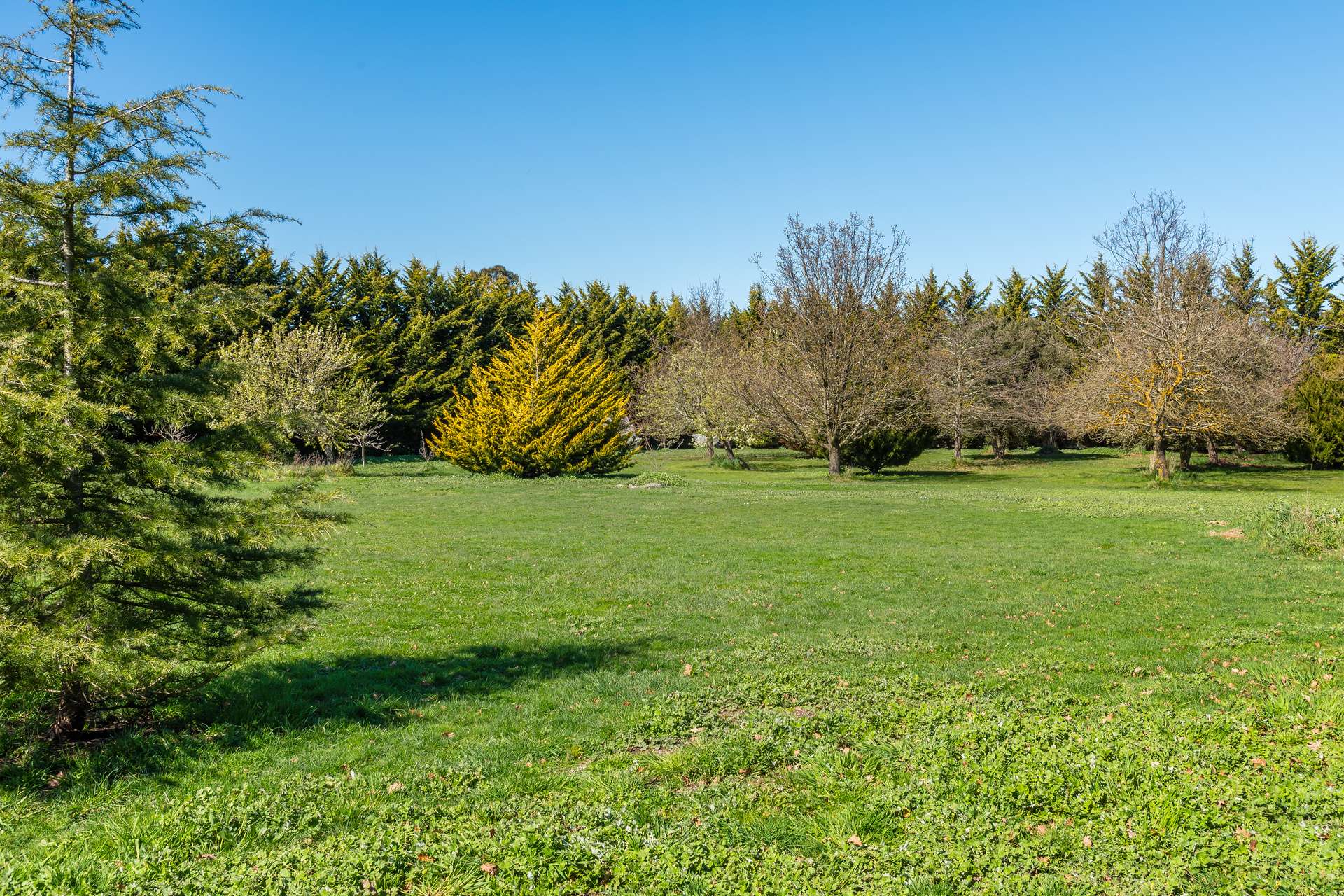 79 Tarrawarra Lane, Romsey For Sale by Farmbuy.com - image 9