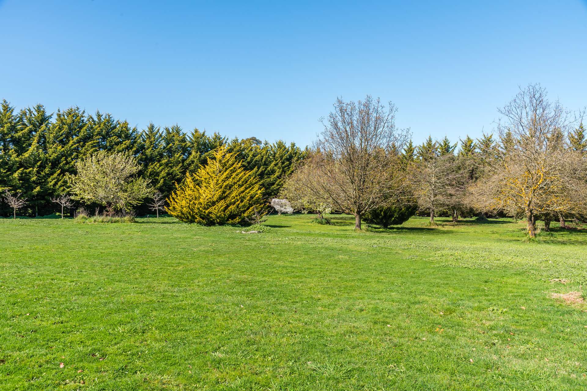 79 Tarrawarra Lane, Romsey For Sale by Farmbuy.com - image 6