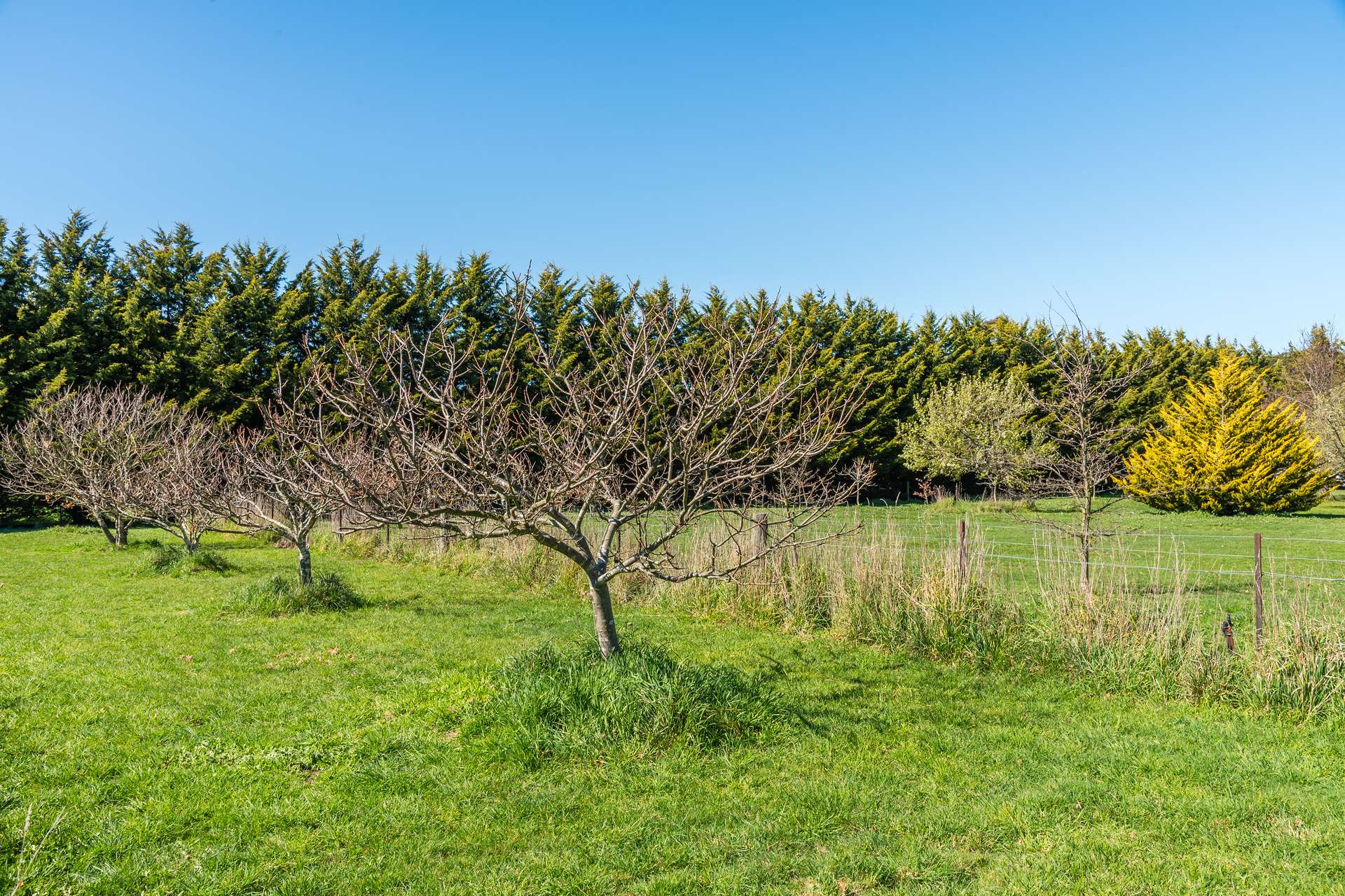 79 Tarrawarra Lane, Romsey For Sale by Farmbuy.com - image 8