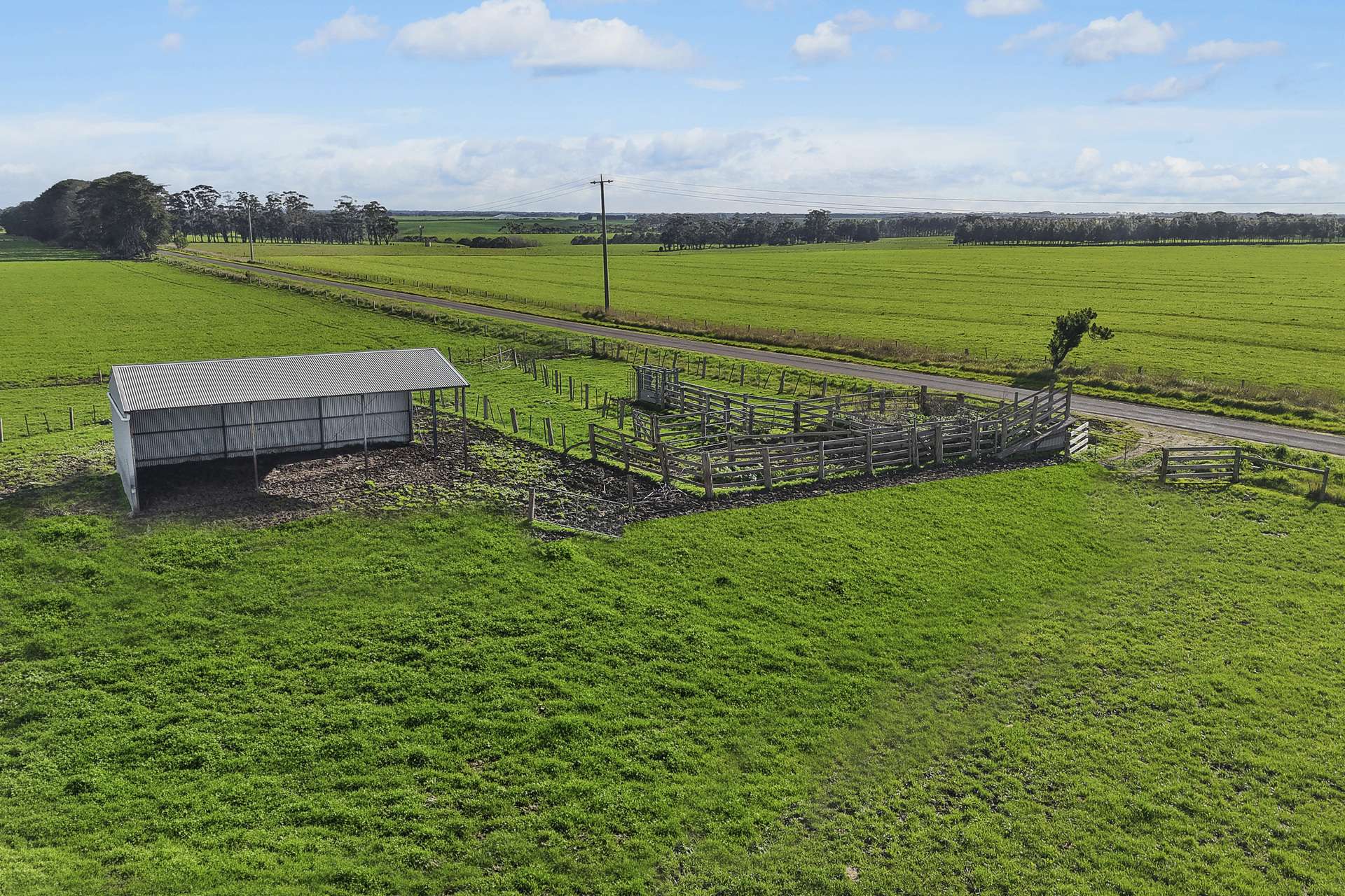 . Woodlawn Road, Purnim For Sale by Farmbuy.com - image 7