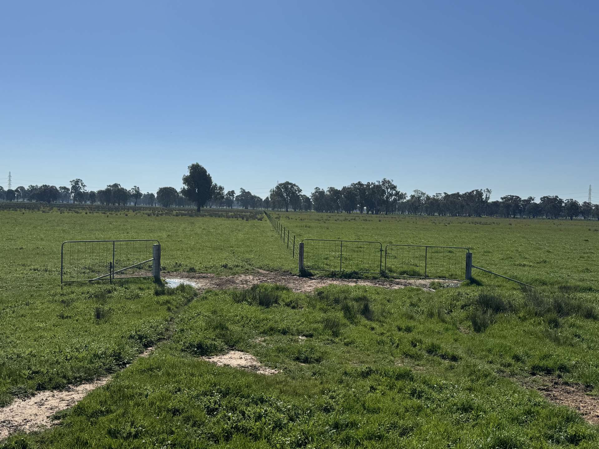 CA 1B/16 Simpson Lane, Docker For Sale by Farmbuy.com - image 13