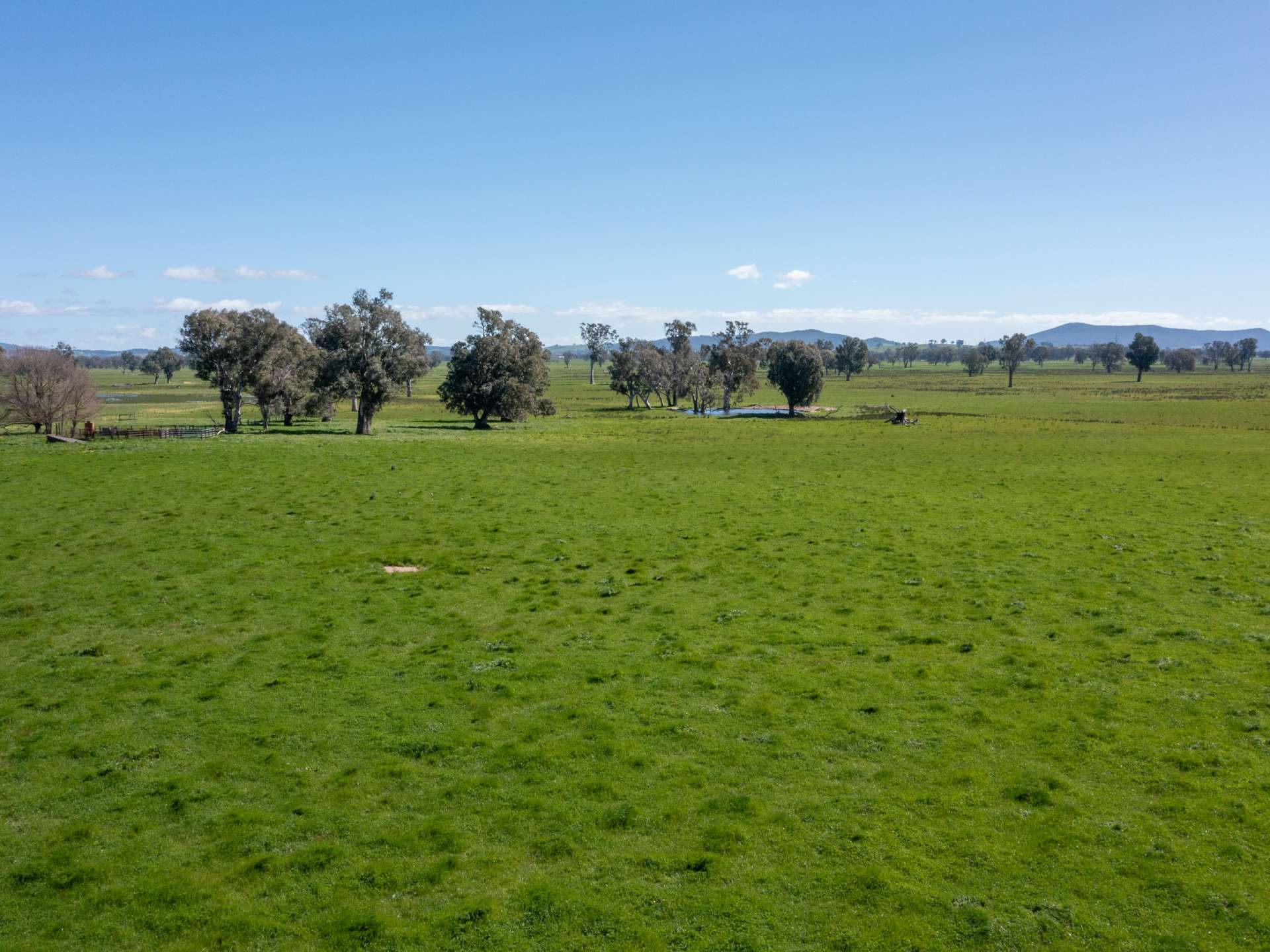 CA 1B/16 Simpson Lane, Docker For Sale by Farmbuy.com - image 4