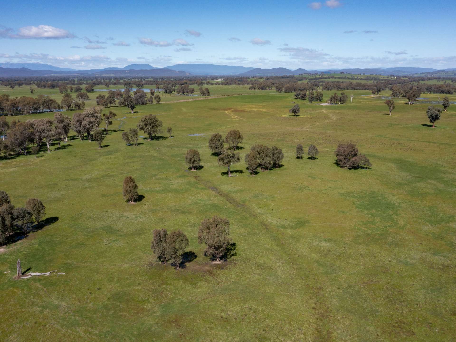 CA 1B/16 Simpson Lane, Docker For Sale by Farmbuy.com - image 9