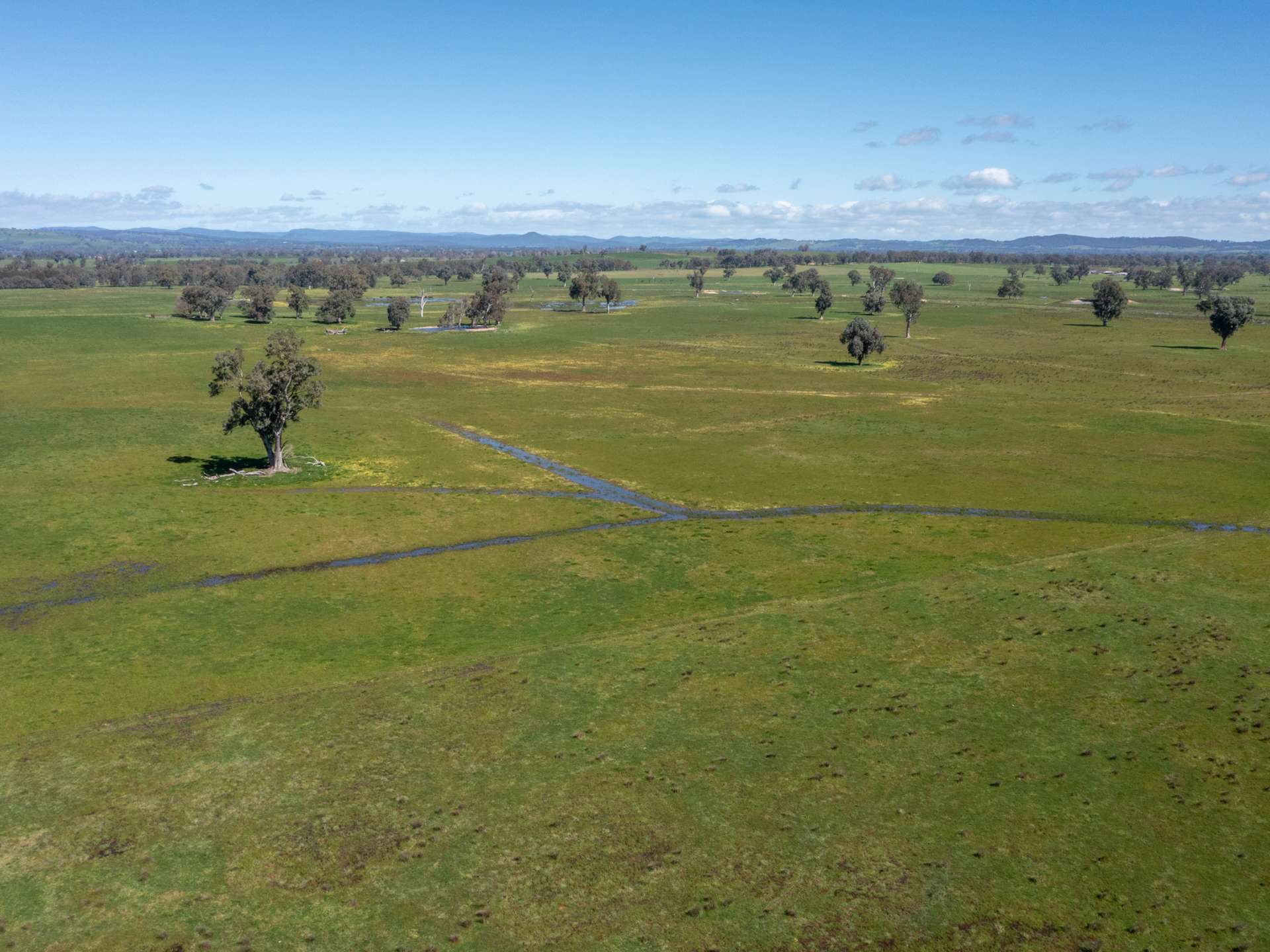 CA 1B/16 Simpson Lane, Docker For Sale by Farmbuy.com - image 7