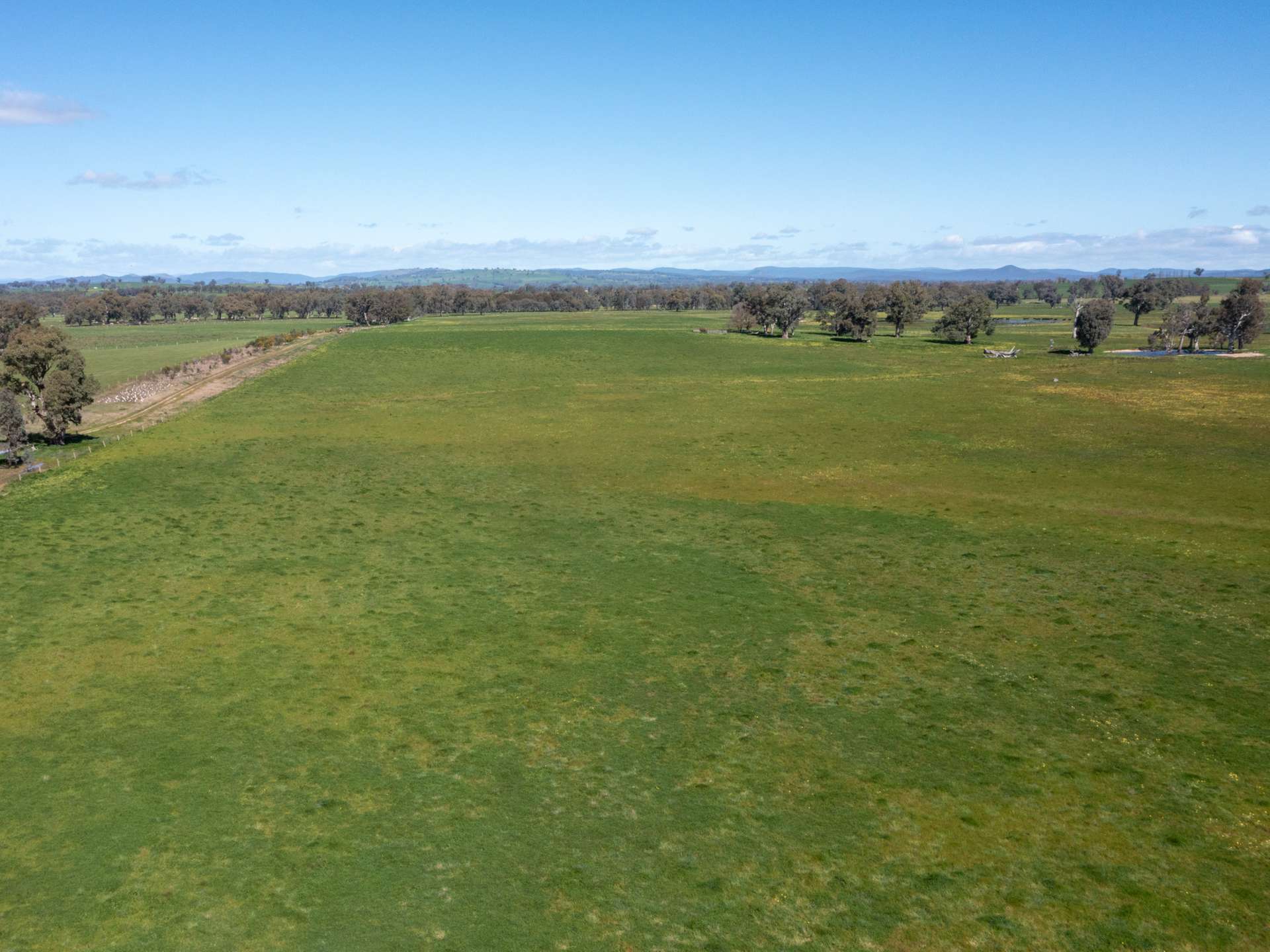 CA 1B/16 Simpson Lane, Docker For Sale by Farmbuy.com - image 8