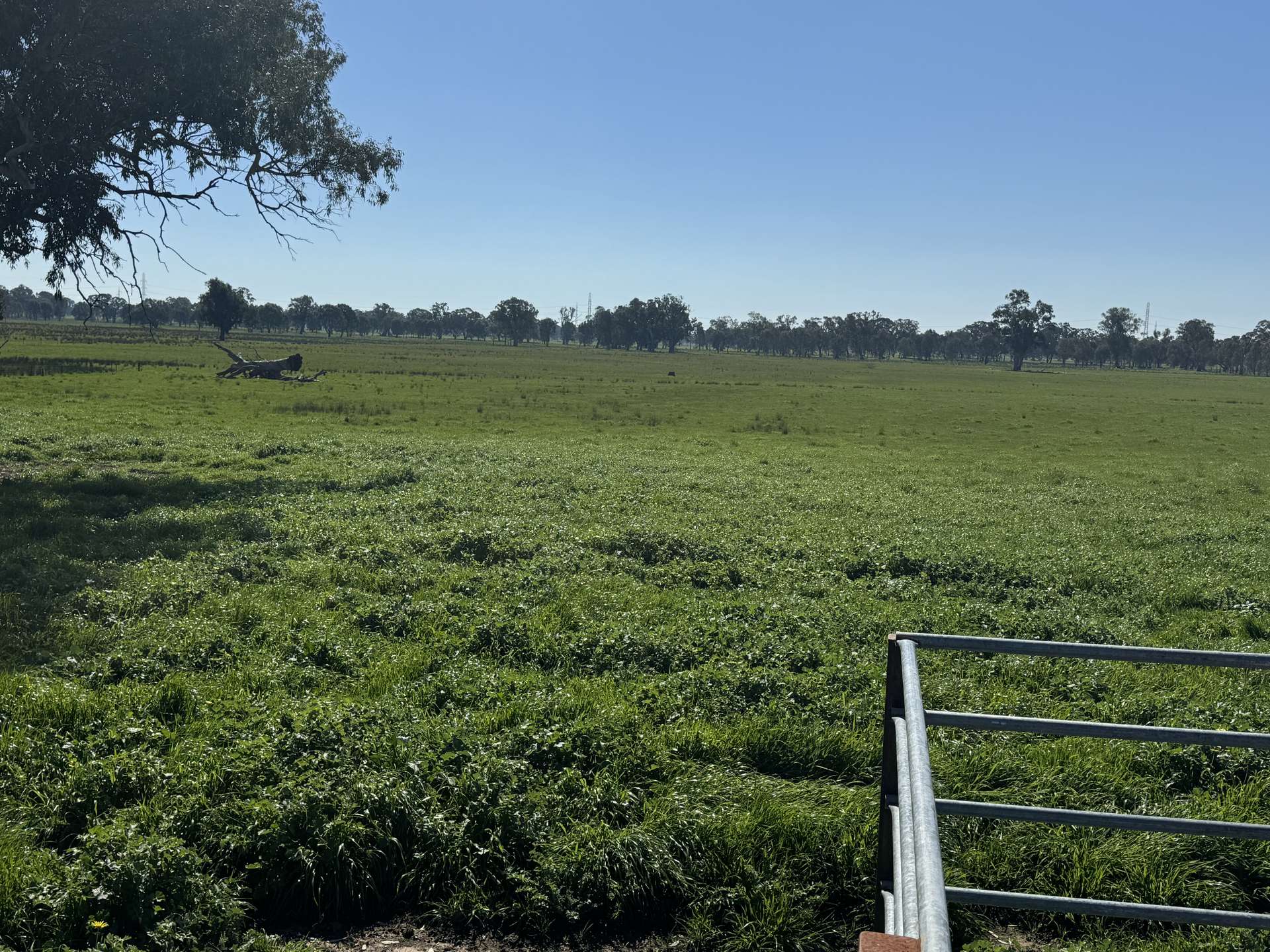 CA 1B/16 Simpson Lane, Docker For Sale by Farmbuy.com - image 12