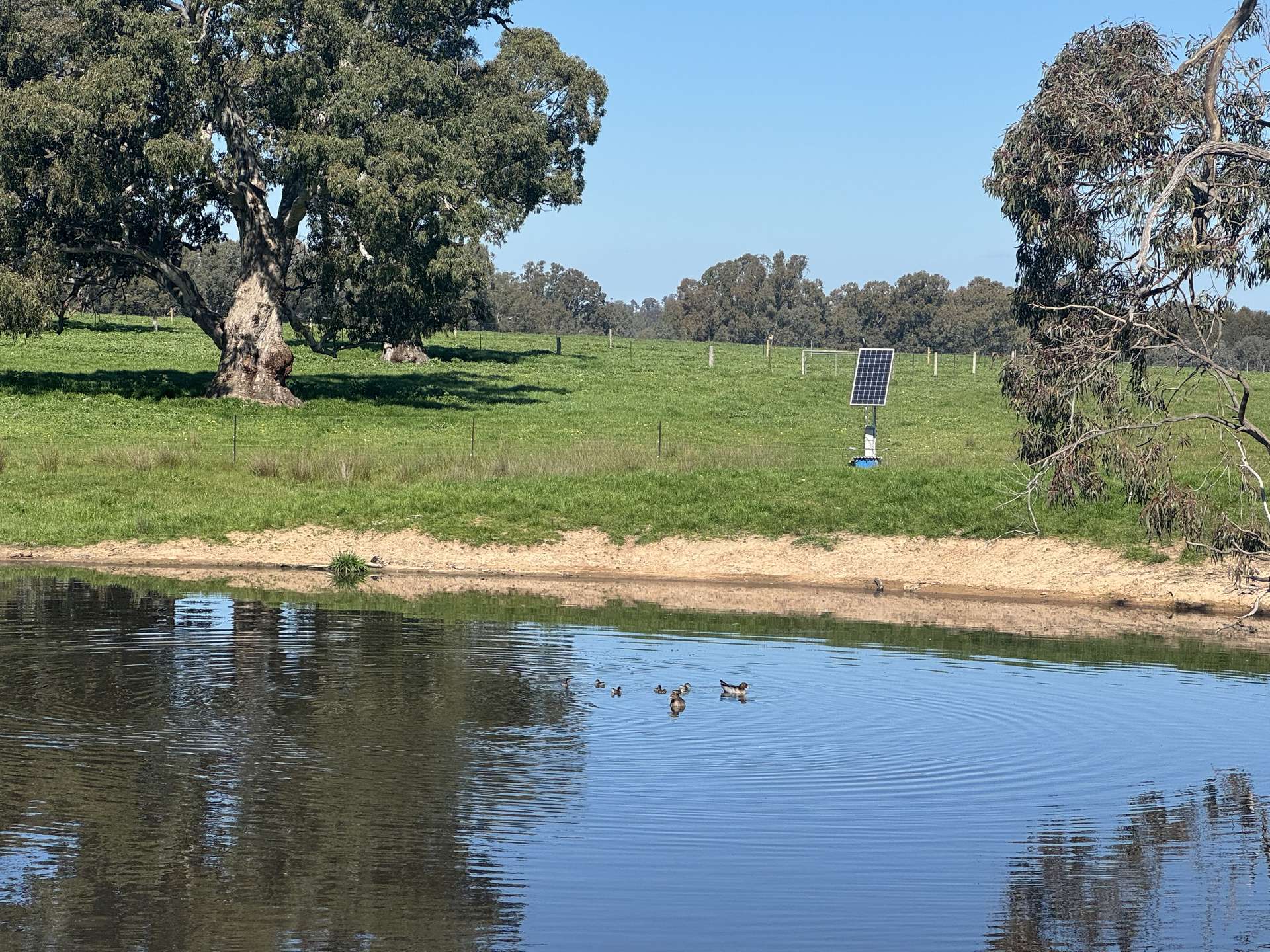 CA 1B/16 Simpson Lane, Docker For Sale by Farmbuy.com - image 5