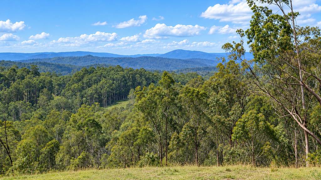 130 & 132 Mud Flat Road, Drake NSW 2469