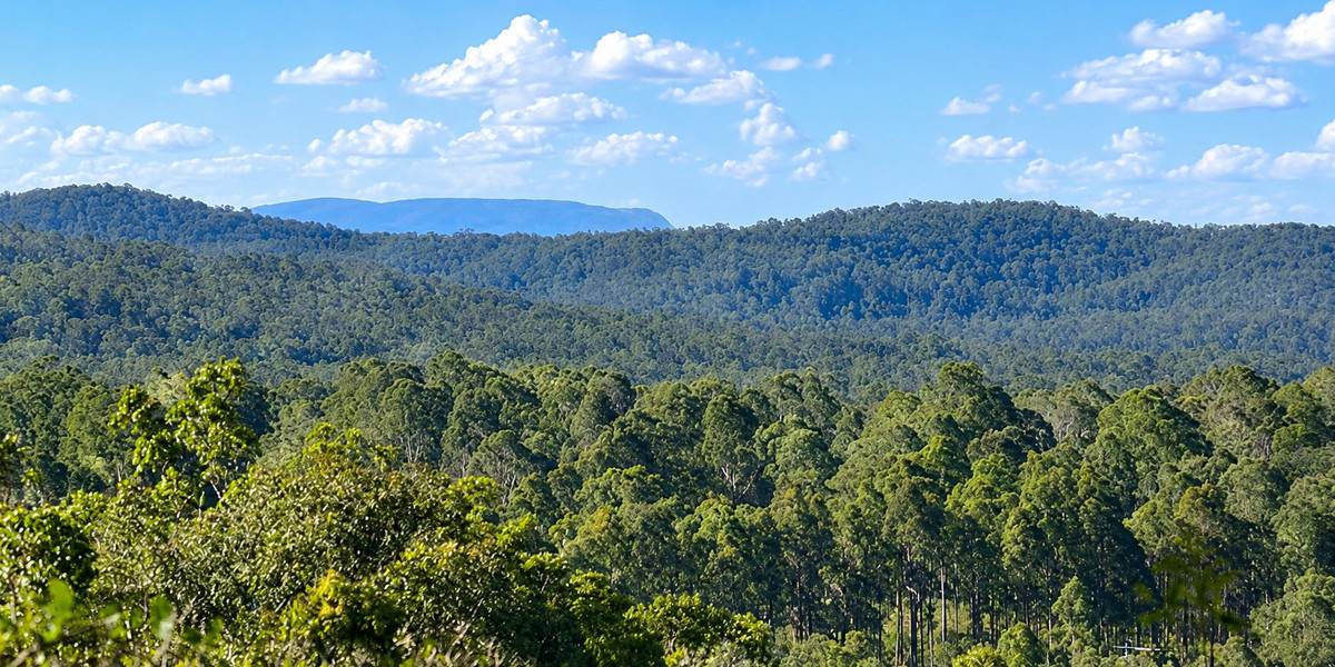 130 & 132 Mud Flat Road, Drake For Sale by Farmbuy.com - image 6