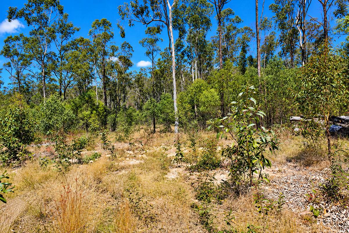 130 & 132 Mud Flat Road, Drake For Sale by Farmbuy.com - image 11
