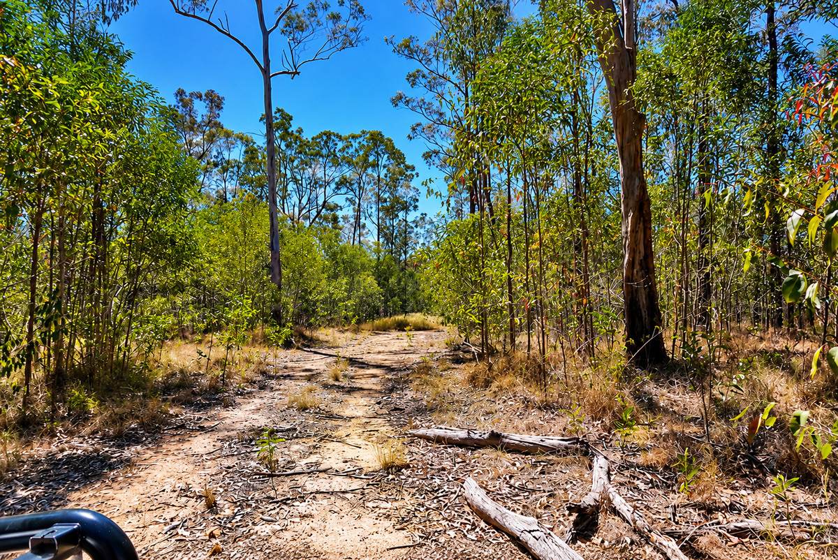 130 & 132 Mud Flat Road, Drake For Sale by Farmbuy.com - image 14