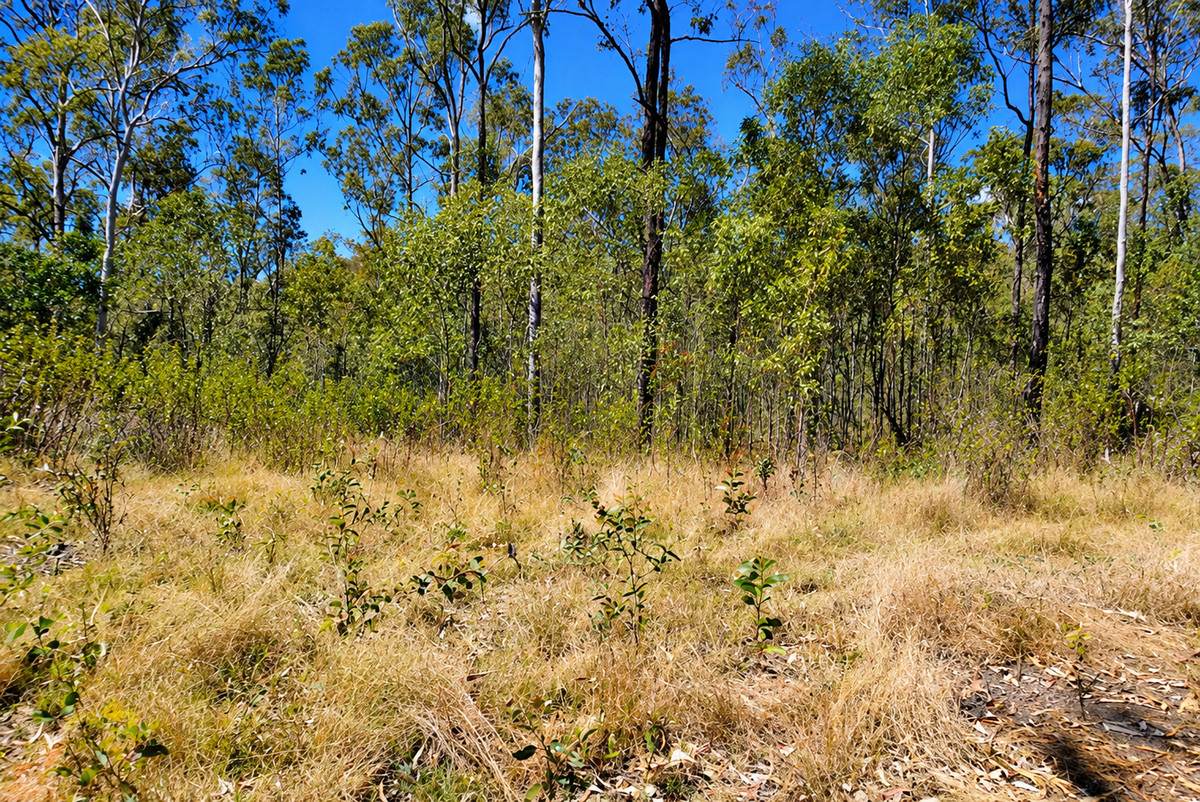 130 & 132 Mud Flat Road, Drake For Sale by Farmbuy.com - image 7