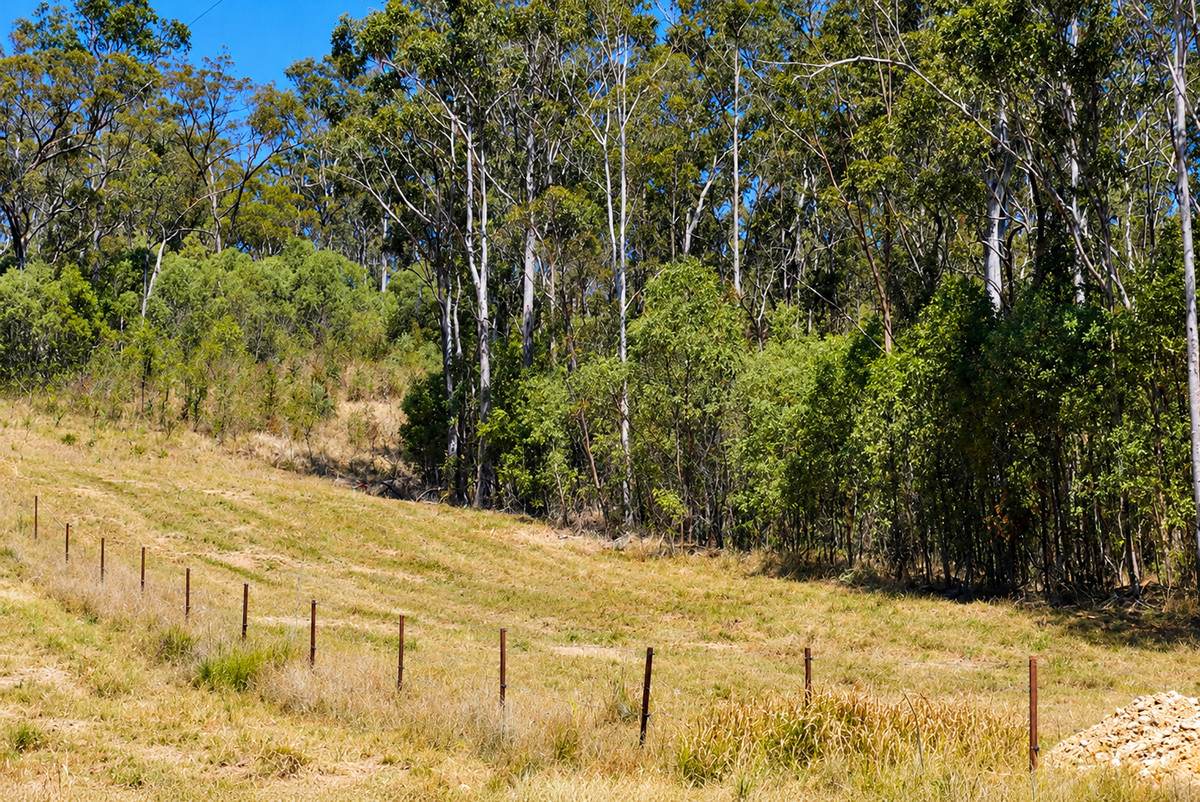 130 & 132 Mud Flat Road, Drake For Sale by Farmbuy.com - image 2