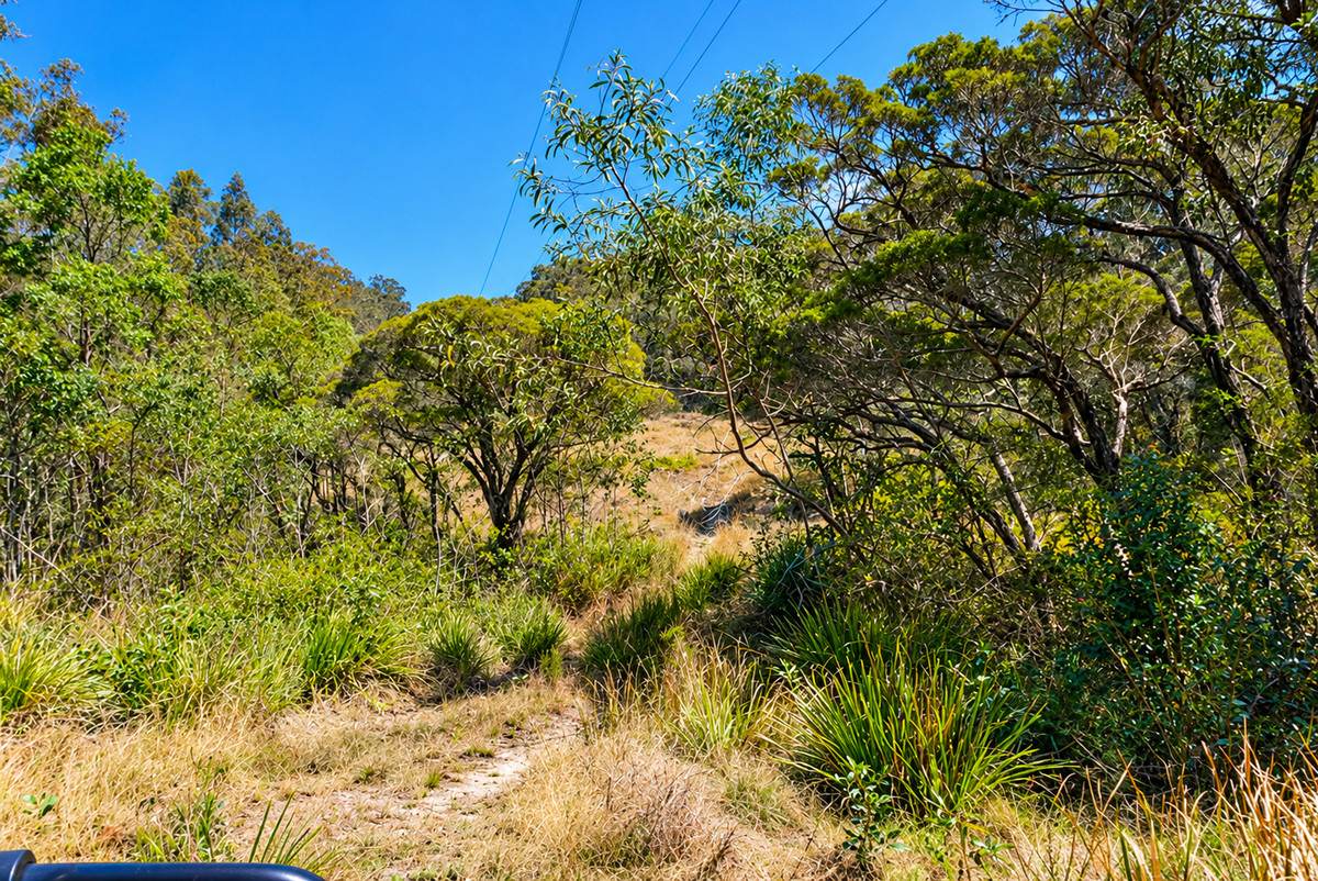 130 & 132 Mud Flat Road, Drake For Sale by Farmbuy.com - image 13