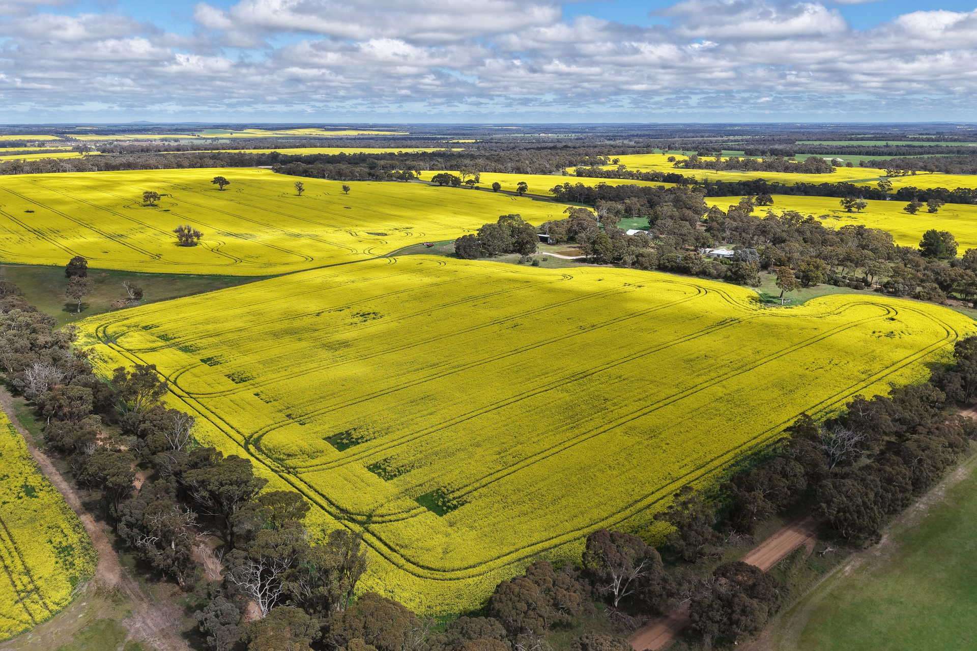 109 Kareela Road, Tenterden For Sale by Farmbuy.com - image 11