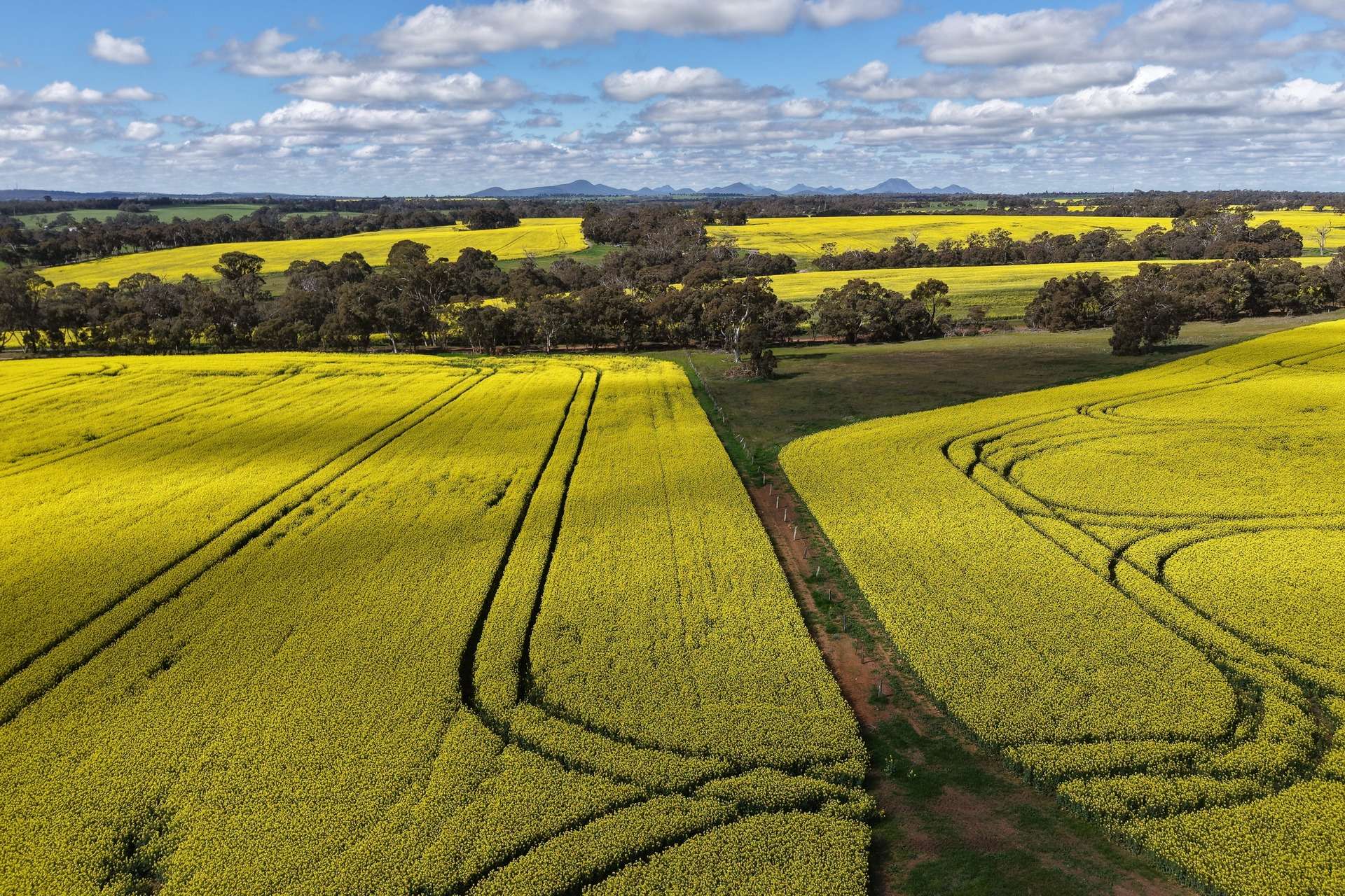 109 Kareela Road, Tenterden For Sale by Farmbuy.com - image 35