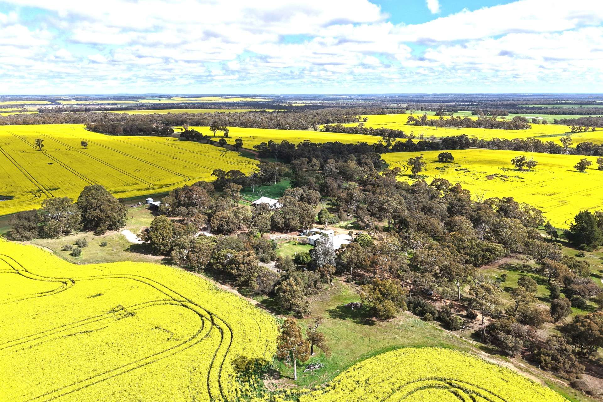109 Kareela Road, Tenterden For Sale by Farmbuy.com - image 2