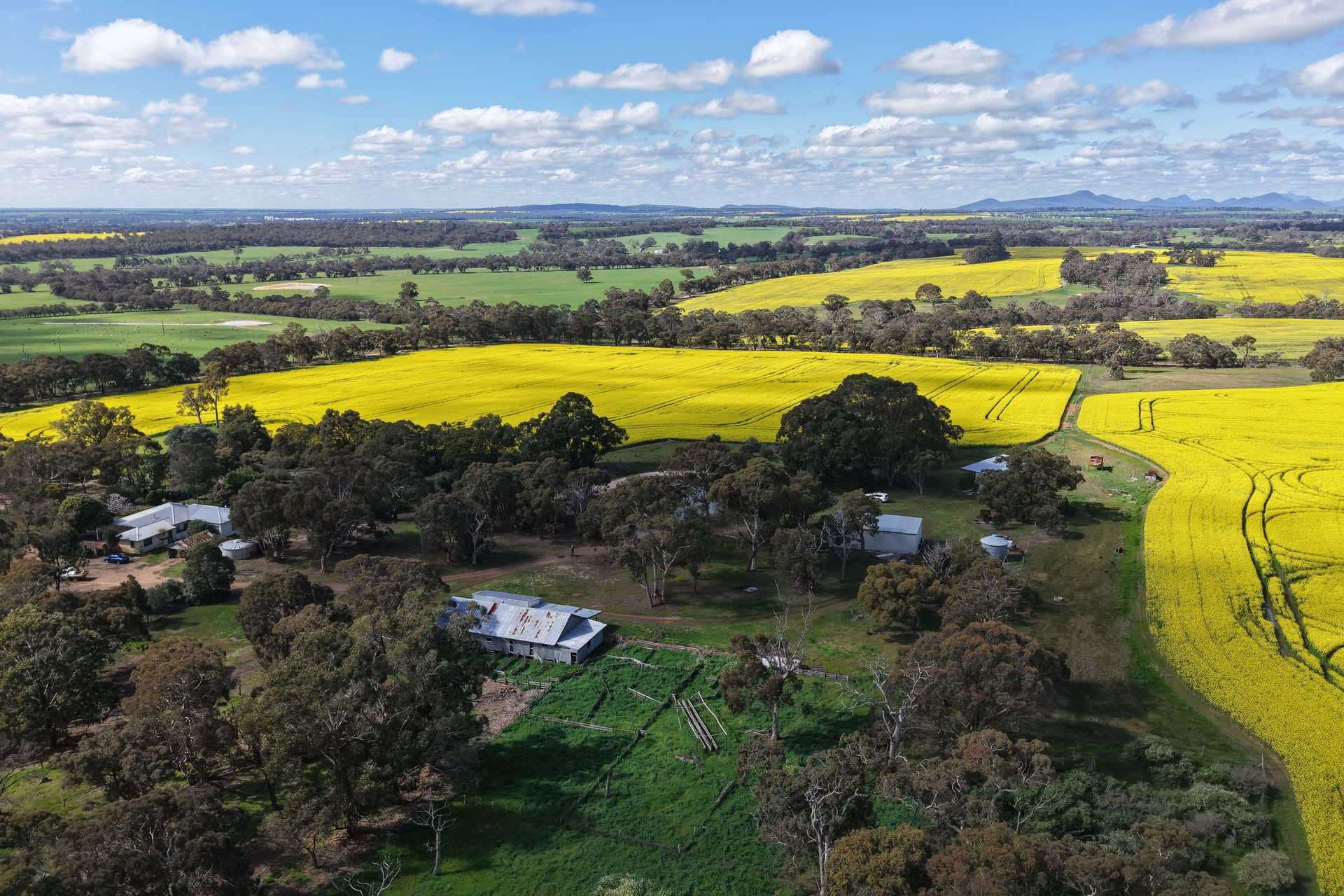 109 Kareela Road, Tenterden For Sale by Farmbuy.com - image 5