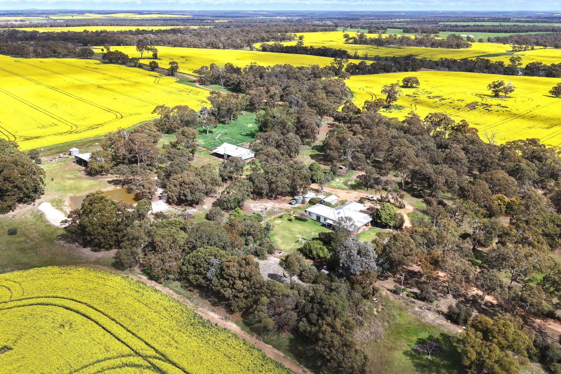 109 Kareela Road, Tenterden For Sale by Farmbuy.com - image 12