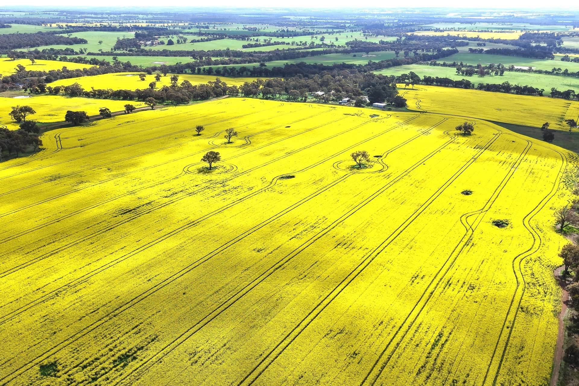 109 Kareela Road, Tenterden For Sale by Farmbuy.com - image 34