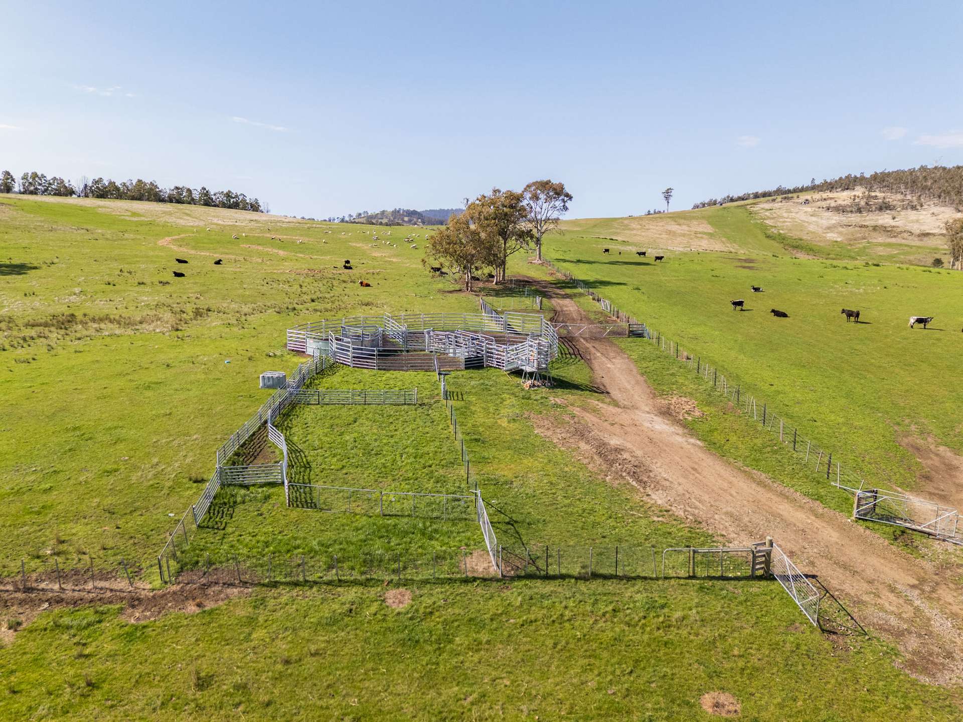 492 Delmore Road, Wattle Hill For Sale by Farmbuy.com - image 8