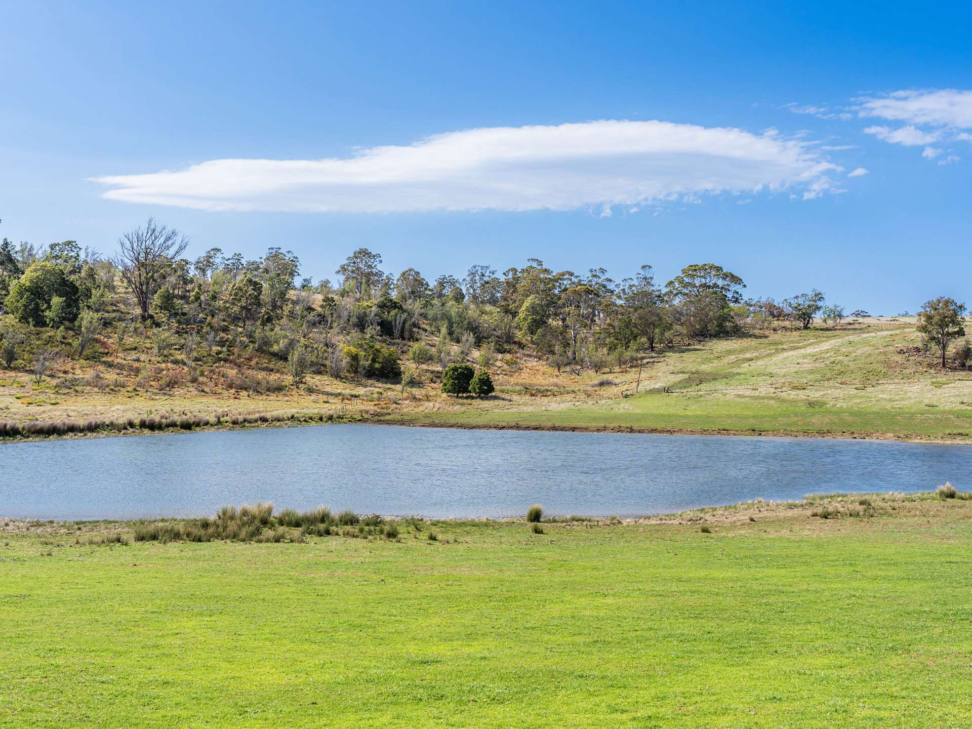 492 Delmore Road, Wattle Hill For Sale by Farmbuy.com - image 6