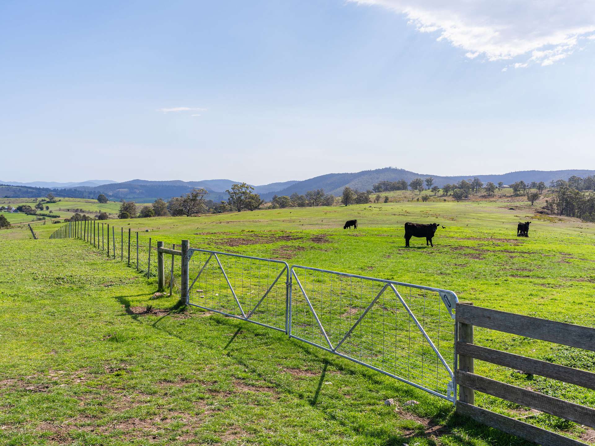 492 Delmore Road, Wattle Hill For Sale by Farmbuy.com - image 9