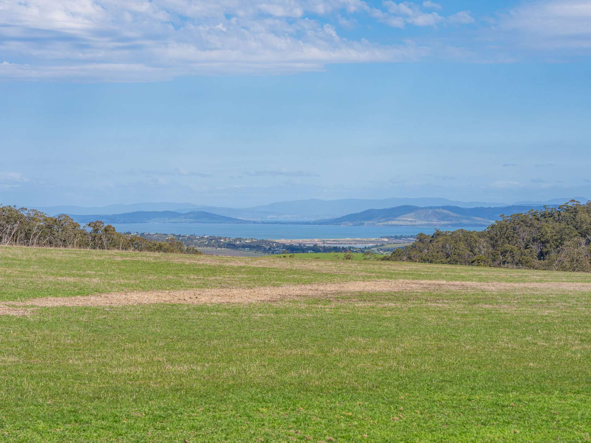 492 Delmore Road, Wattle Hill For Sale by Farmbuy.com - image 2