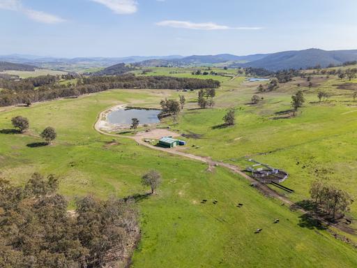 Farm For Sale - TAS - Wattle Hill - 7172 - Productive Grazing, Dryland Cropping & Lifestyle Appeal 