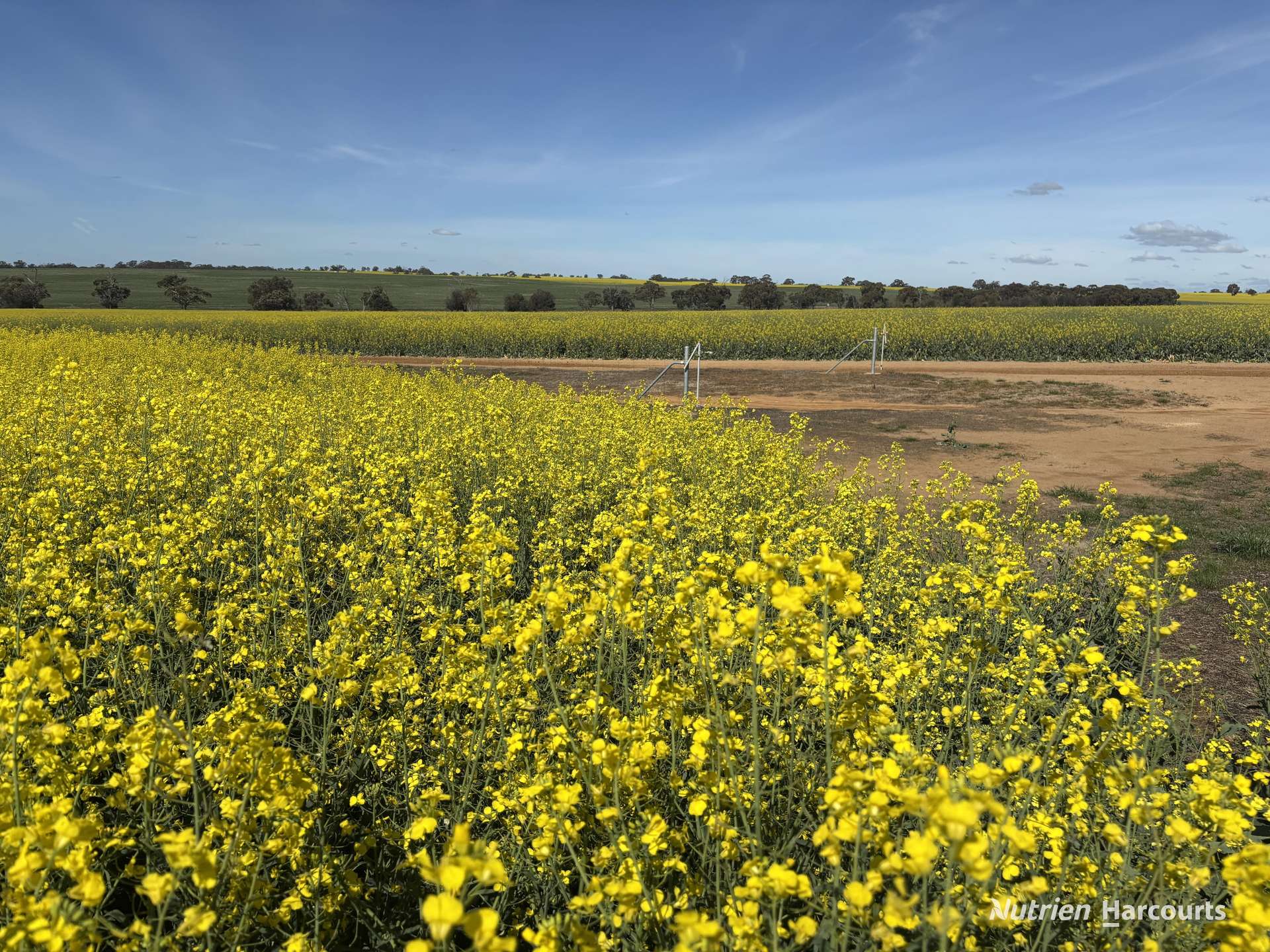 . Dudley Road, Grass Valley For Sale by Farmbuy.com - image 22