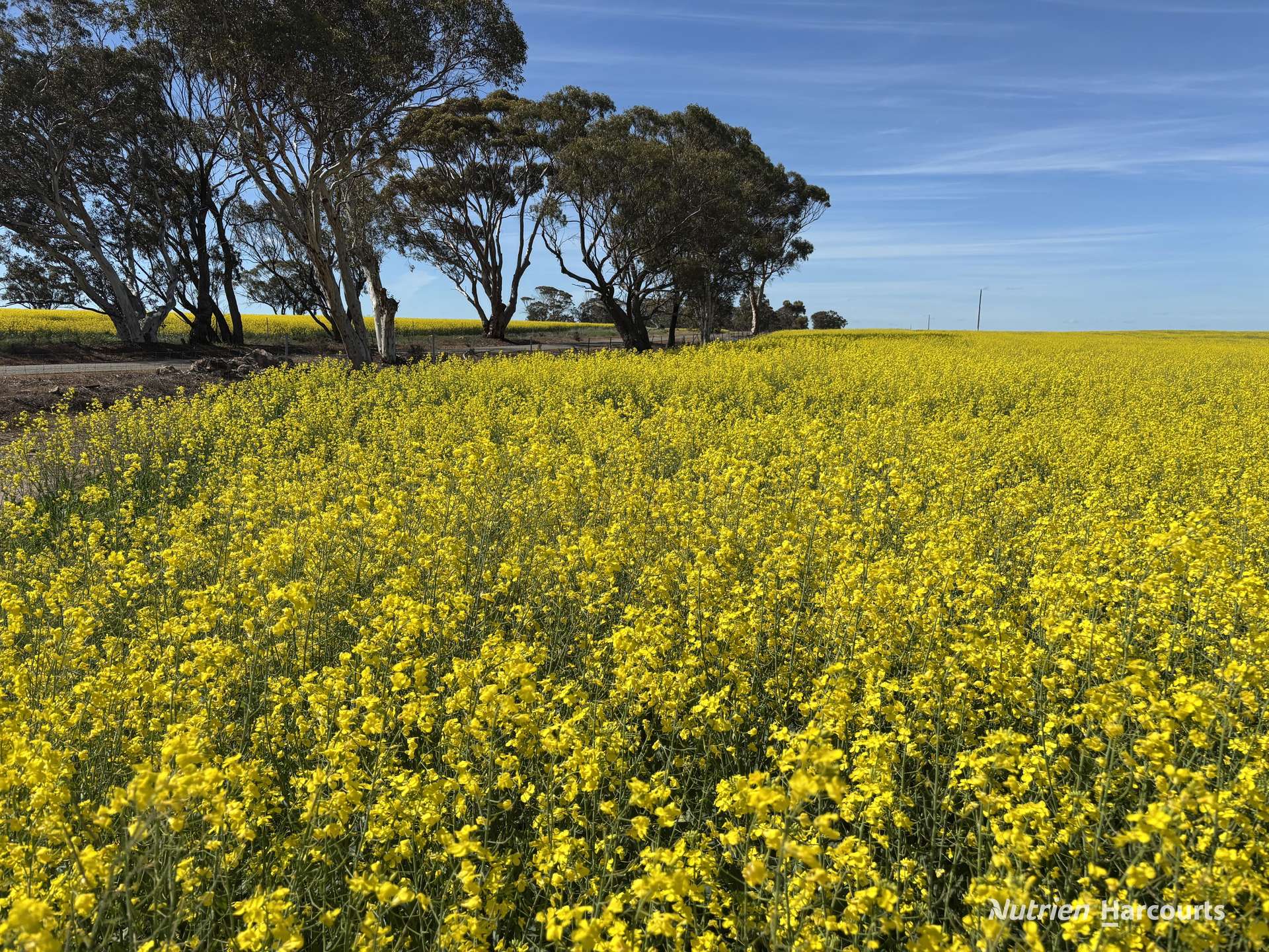 . Dudley Road, Grass Valley For Sale by Farmbuy.com - image 5