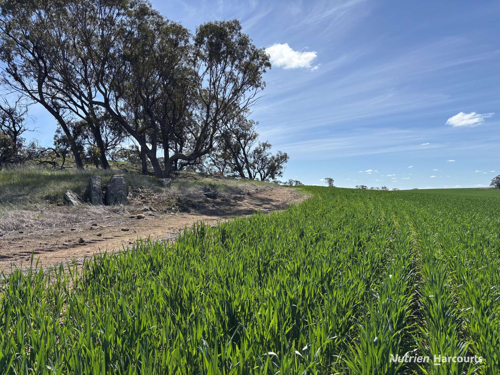 . Dudley Road, Grass Valley For Sale by Farmbuy.com - image 8